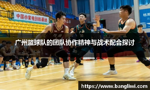 365WM完美体育官网